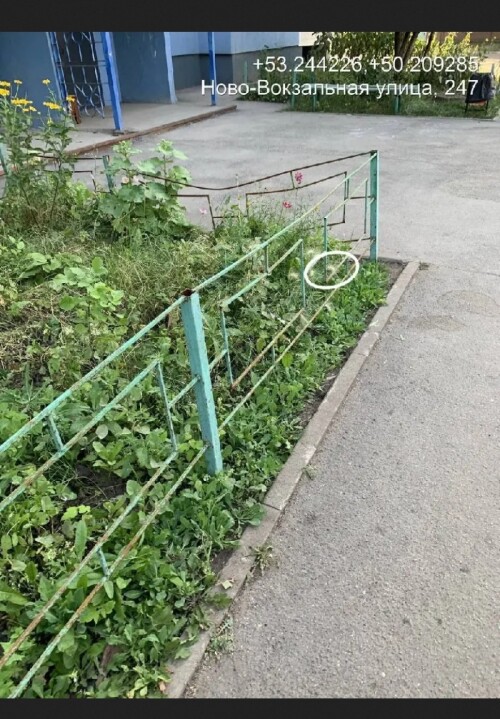1000003471.jpg